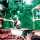 Volunteer Abroad: How to Choose a Volunteer Programme